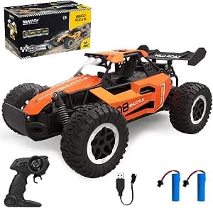Carro de Corrida Controle Remoto RC 1:16 Off-Road 20km/h Carrinho de Alta Velocidade (Laranja)